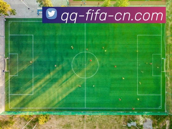 世界杯竞猜平台发展历程